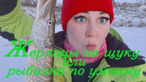 Жерлицы на щуку или рыбалка по умному