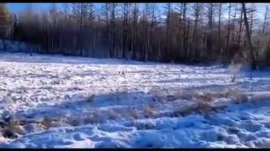 УАЗ - под лед