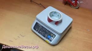CAS SWN | Весы порционные
