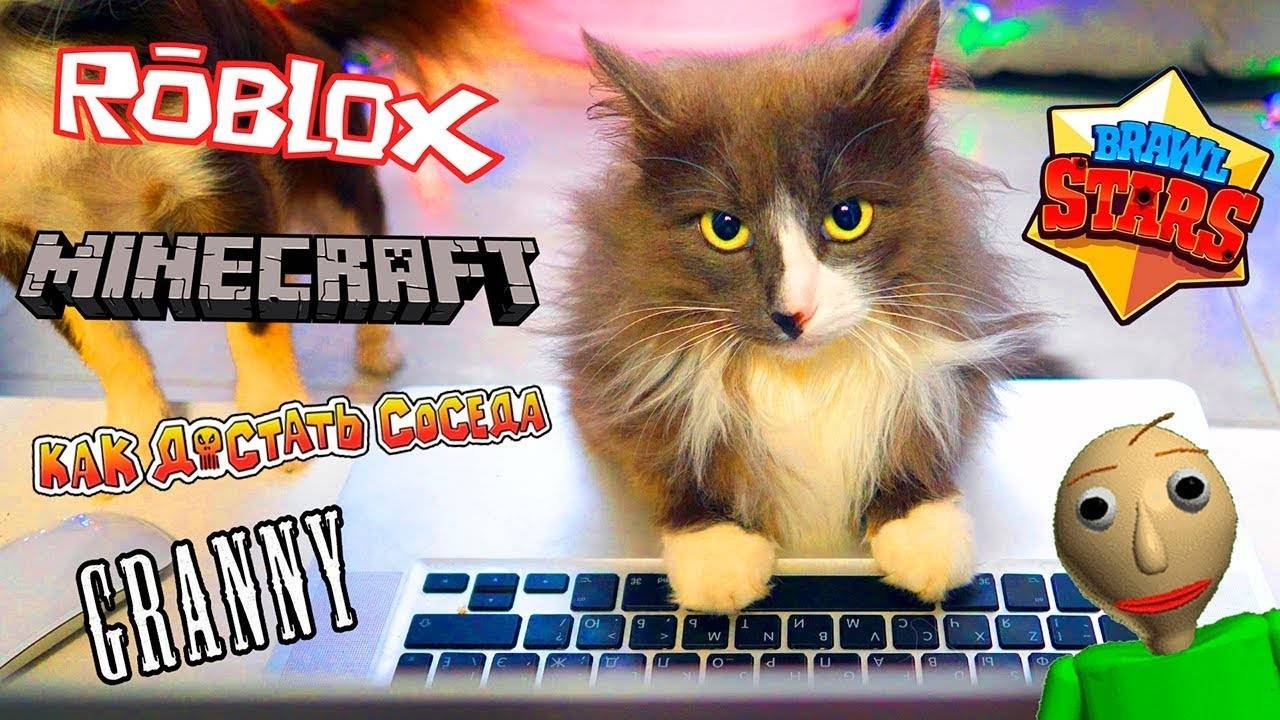 ПИТОМЦЫ ПРОТИВ ИГР! ИГРЫ ГЛАЗАМИ КОШКИ И СОБАКИ! ЛЕТСПЛЕЙ В РОБЛОКС МАЙНКРАФТ БАЛДИ И ЕЩЁ ИГРЫ