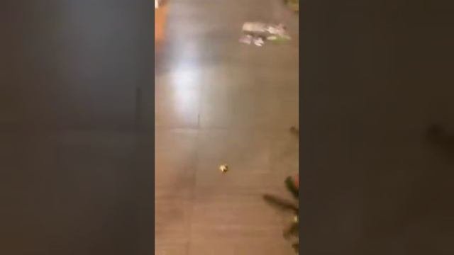 Катрин Рвиза