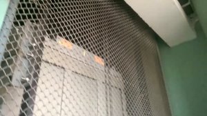 Электрический лифт (ЩЛЗ-2010) г. Троицк, Микрорайон В, 9 (19.06.2016)