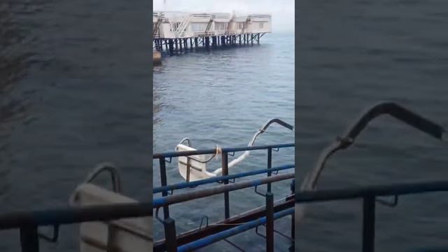 Анапа 30 декабря 2024 морская вода чистая