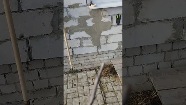 Преимущества персика перед абрикосом.