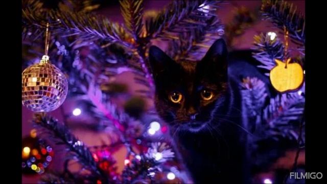 новогодние каты смотреть онлайн