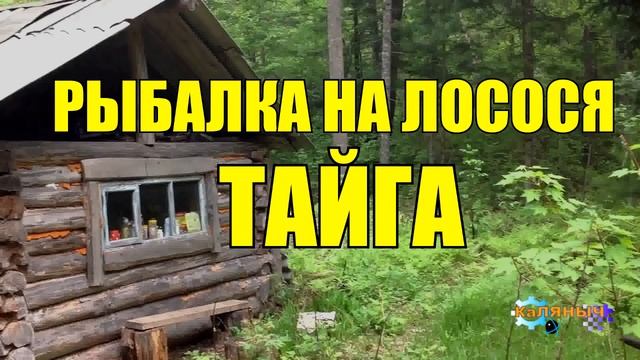 1018 - РЫБАЛКА НА ЛОСОСЯ В ТАЙГЕ смотреть онлайн