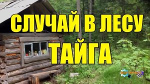 1011 - ИЗБА САМОУБИЙЦ _ ДОВЕЛИ ДЕДА _ ТАЙГА
