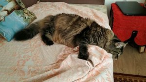 делаем бардак