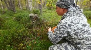 ДЕВУШКА УВИДЕЛА ИХ В ЛЕСУ И ЗАКРИЧАЛА. СБОР ГРИБОВ С КРАСАВИЦЕЙ. МНОГО ГРИБОВ. ОНА БАЛДЕЕТ О ТАКОГО