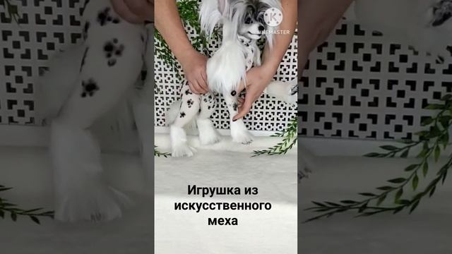 Китайская хохлатая. Подвижная игрушка#реалистичныеигрушки #игрушкиназаказ #китайскаяхохлатаяигрушка