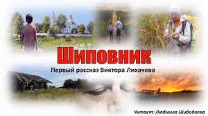 Виктор Лихачёв. Шиповник