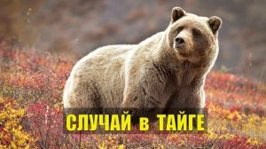 МЕДВЕДЬ и ТАЁЖНИКИ СЛУЧАЙ в ТАЙГЕ ЛЮДОЕД и ГЕОЛОГИ с НОЧЁВКОЙ ТАЙГЕ ИСТОРИИ из ЖИЗНИ в ЛЕСУ СЕР