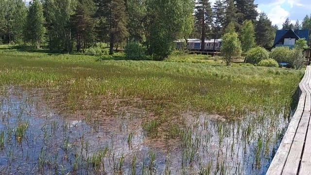 Частичные ответы смотреть онлайн
