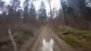 Пошло все в жопу сяду на коня