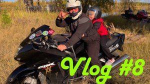VE Project 8 Nikolay