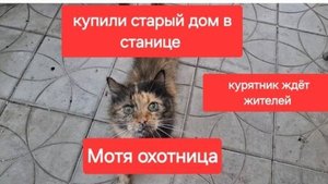 65//Купили старый дом в станице. Ищем жителей. Мотя охотник.