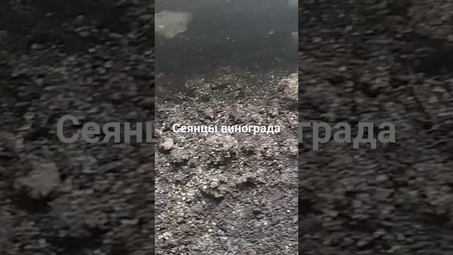 25 марта 2024 г.