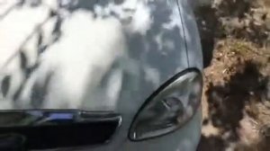 ЗУПИНИ ЛОСЯ НА ТРОТУАРІ КИЇВ #недайпроїхатьлосю