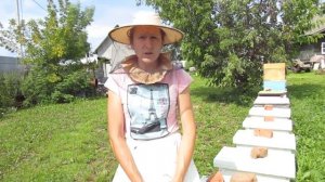 Понятия: матка-трутовка, безматочная семья, пчелы-сироты.