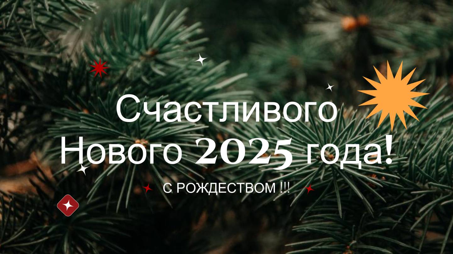 Итоги 2024 года. Новогодний Новосибирск. Пожелания.