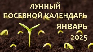 Лунный Посевной Календарь на январь 2025