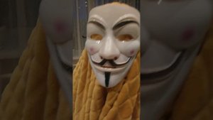 мой домашний снюсоед