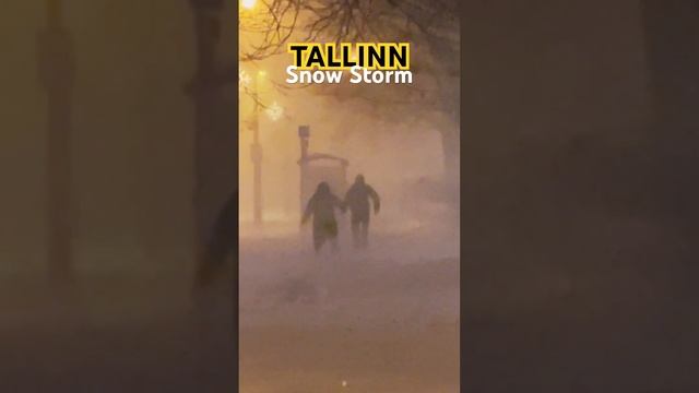 Visiting! Winter Tallinn, heavy snow storm #winter #tallinn #stormjowels