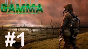 Stalker G.A.M.M.A. #1. Начинаем...