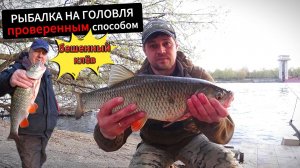 МОСКВА РЕКА. Сегодня на Рыбалке клюёт Трофейный голавль