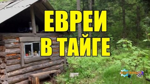 0933 - ЕВРЕИ _ ЖИЗНЬ В ТАЙГЕ