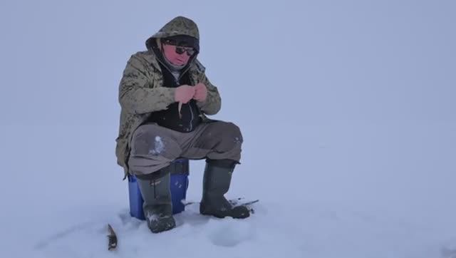 Окунь в глухозимье