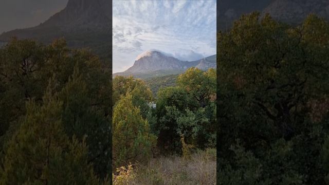 1000104213.mp4