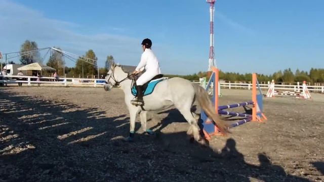 Я на Серой. 80 см. КСК Темино. 19.09.2015год смотреть онлайн