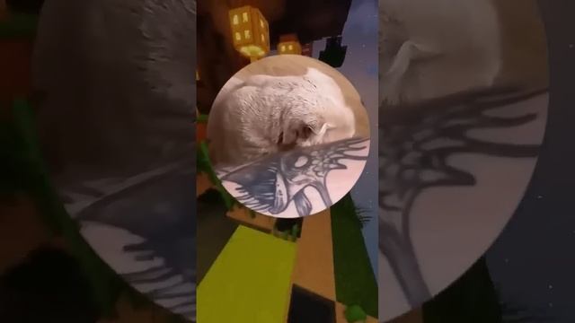 Если ты счастливый котик скажи мяу #коты #котыприколы #коты_под_валерьянкой