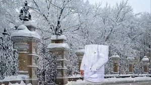 Волшебная зима & Magical winter