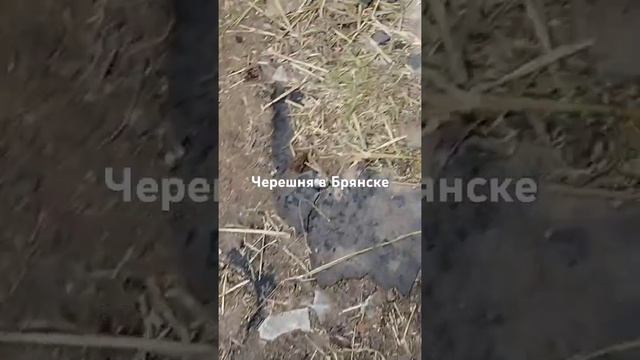 4 мая 2024 г.