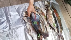 Архив. Рыбалка по притокам Лены👌