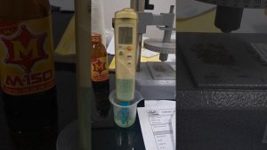 Adjust / Calibration ph meter Testo model 206