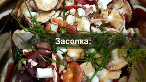 Способы приготовления сыроежек