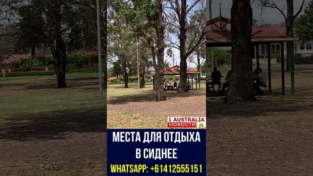 МЕСТА ДЛЯ ОТДЫХА В СИДНЕЕ. [#1Australia]#short367 #иммиграция #Австралия #эмиграция #USA #работа