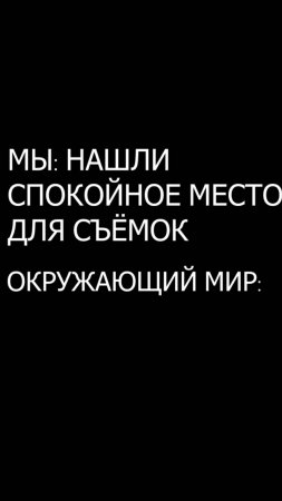 Нашли спокойное место для съемок, а тут #суета