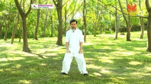 Mind-Body-Chi – Dr. Wen B-Chen’s Relaxation Exercises 心—身—氣：溫碧謙醫師的放鬆運動