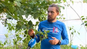 Сюжет телекана Сочи24 про Солнечные Cады Сочи