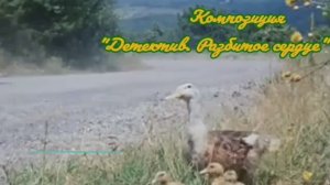 Детектив. Разбитое сердце