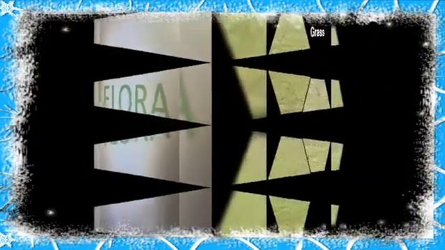 Best Flora and Fauna around us смотреть онлайн