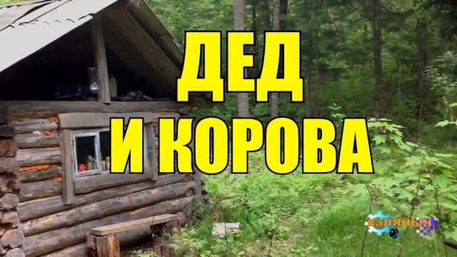 0535 - ДЕД ПРИКОЛИСТ _ СТОРОЖ И БЫК _ ЛУЧШИЕ ДРУЗЬЯ смотреть онлайн