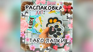 НОВИНКА ТАБО ЛАПКИ 🐾🐱😱