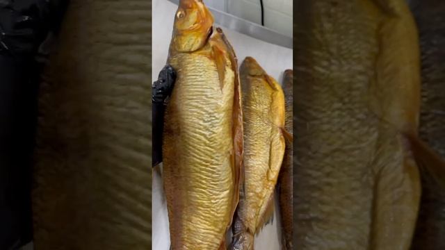 Необыкновенно вкусные СИГ и МУКСУН холодного копчения🐟🎄