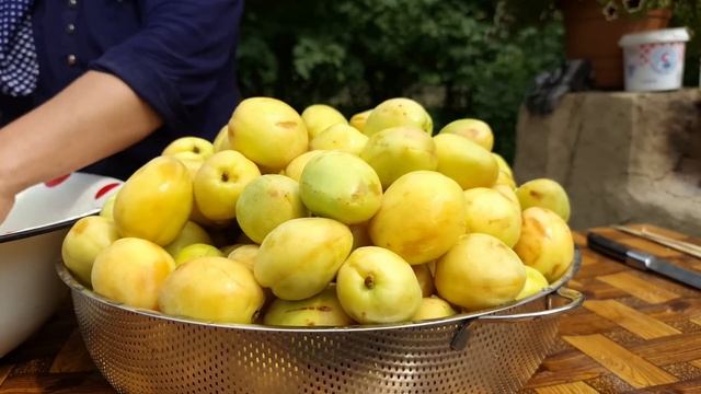 Kənd Həyatı.   Harvesting a Lot of Apricots for Drying, Relaxing Video