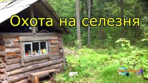 1195 - Охота на селезня  _ Аудиокнига